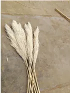 Not Too Soft
