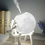 Deer Moon
