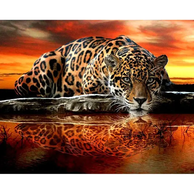 5D Diamond Painting Leopard 2 40X50Cm - Shop at LoveMi