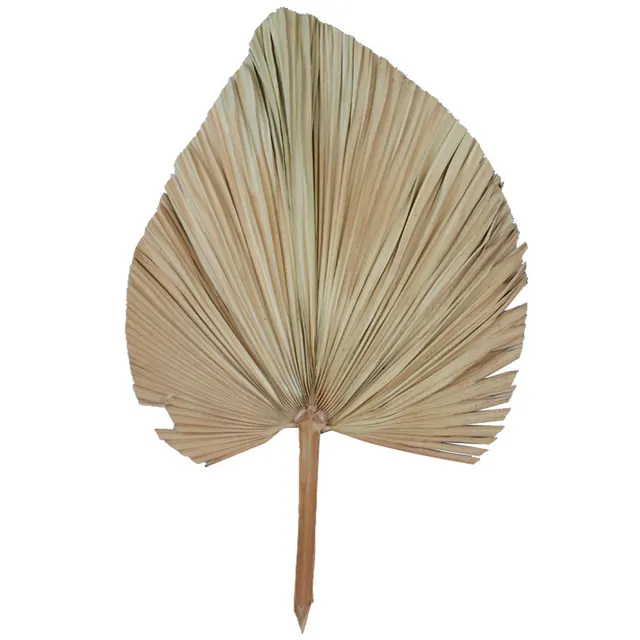 Palm Fan Leaf Dried Flower Palm Leaf Window Reception Party Art Wall Hanging Decoration Wedding Arch Arrangement - Heart Shape