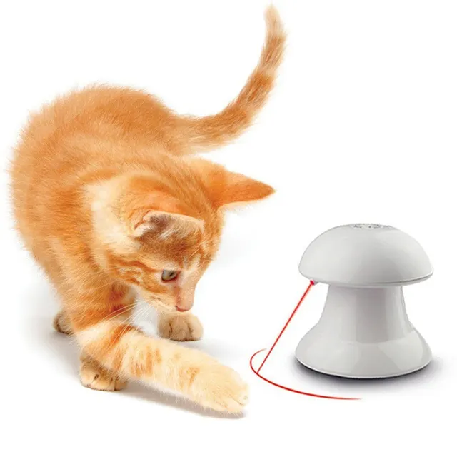 Interactive LaserToy - Shop at LoveMi
