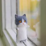 Add White Blue Cat