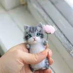 Beautiful Short Cat