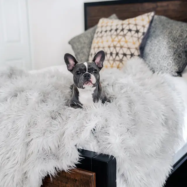 Winter Thick Dog Warm Pad High-end Pet Pad - Grey