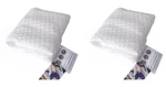 Pillowcase 2Pcs