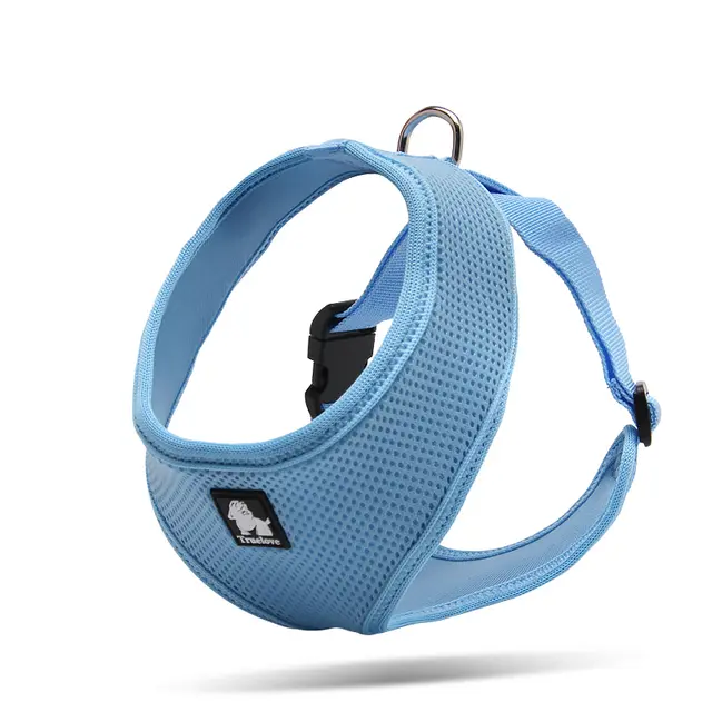 Towing rope for small dogs Blue - Shop at LoveMi
