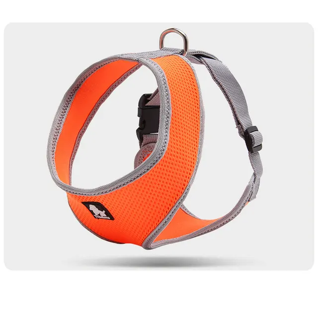 Towing rope for small dogs Orange - Shop at LoveMi