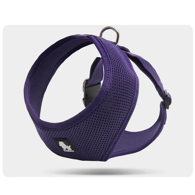 Towing rope for small dogs Purple - Shop at LoveMi