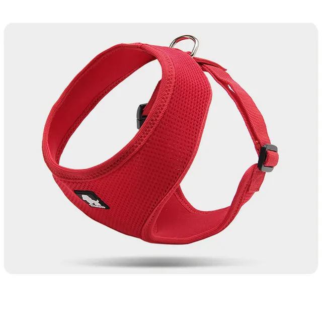 Towing rope for small dogs Red - Shop at LoveMi