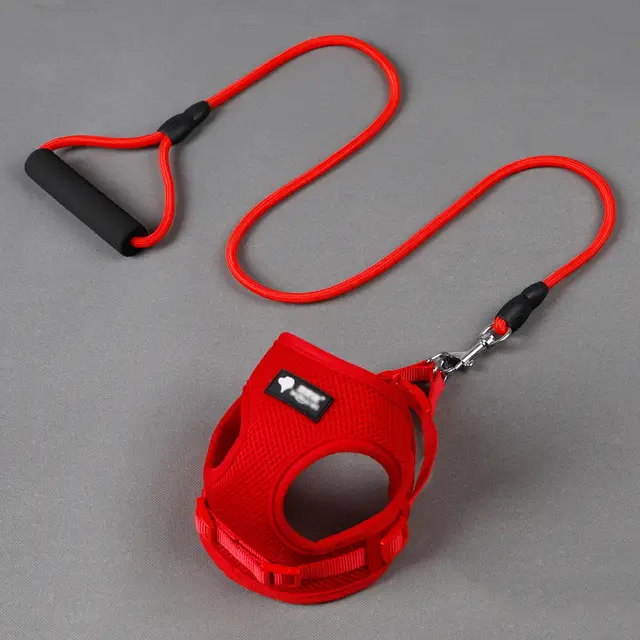 Dog leash dog leash dog collar Red - Shop at LoveMi
