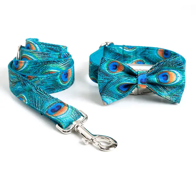 Custom Lettering Dog Collar Print Personality Suit Green - Shop at LoveMi