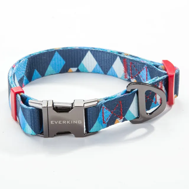 Pet leash collar Collar - Shop at LoveMi