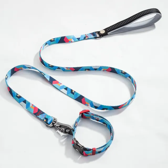 Pet leash collar Two Piece Set - Shop at LoveMi