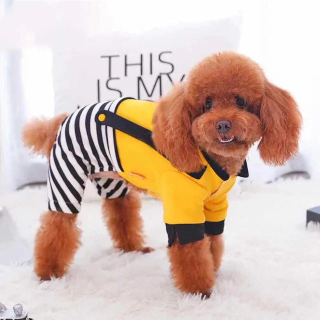 Pet four legged thick autumn and winter clothes Yellow - Shop at LoveMi