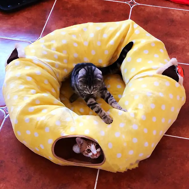 Lovely Four Seasons Pet Sleeping Bag Yellow Full - Shop at LoveMi