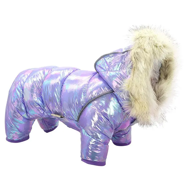 Dog clothes colorful hat four legged sweater button Purple - Shop at LoveMi