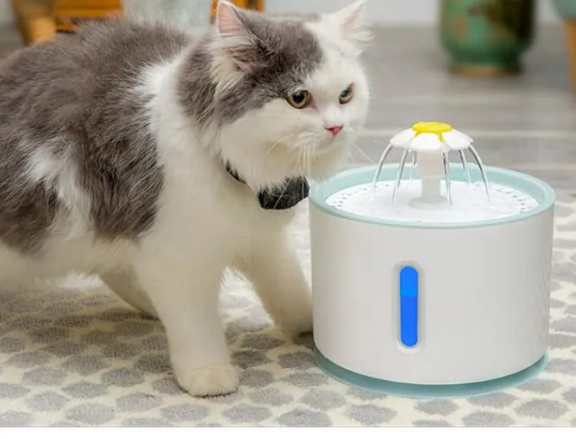 Fashion Automatic Lower Style DogKitten Water Drinking Pet Fountain Pet Bowl Drink Dish Filter Blue - Shop at LoveMi