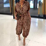 Brown Zebra