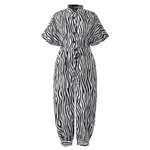 White Zebra