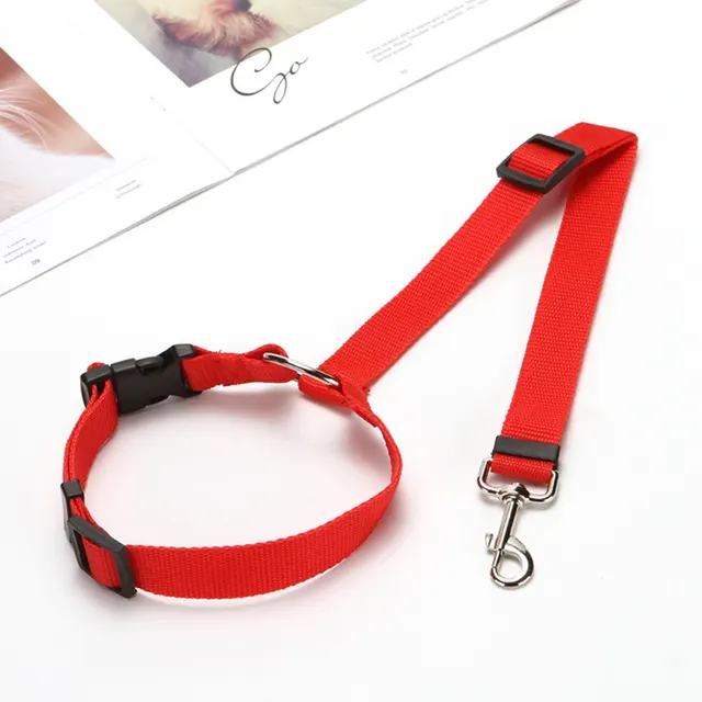Explosive Pet Car Rear Seat Ring Safety Rope Red - Shop at LoveMi