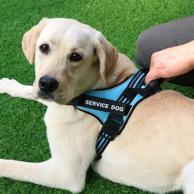 Chest strap vest type medium and large dog leash Sky Blue - Shop at LoveMi