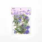 Delicate Fragrance