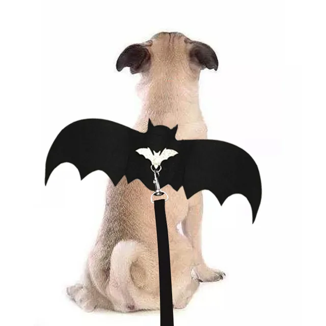 Dog dressed up with bat wings Wings And Rope - Shop at LoveMi
