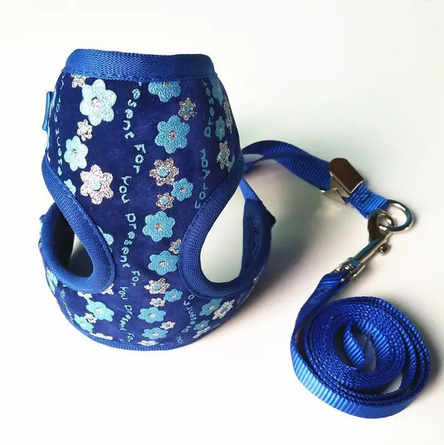 Small dog pet leash Blue - Shop at LoveMi