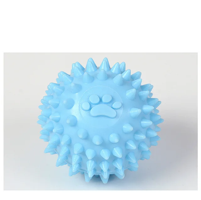 TPR pet molars interactive toy Blue - Shop at LoveMi