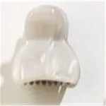 Shell White