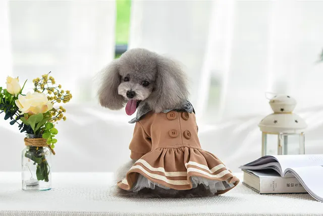 Pet clothes autumn and winter princess dress Khaki - Shop at LoveMi