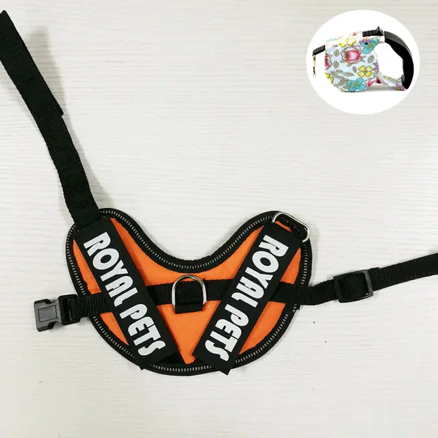 Rabbit traction rope vest Orange - Shop at LoveMi