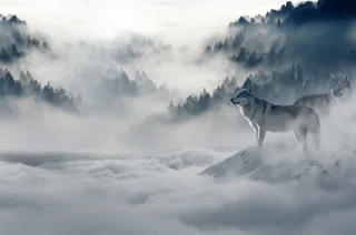 Wolf looking at mountain pattern tapestry - 150X230Cm
