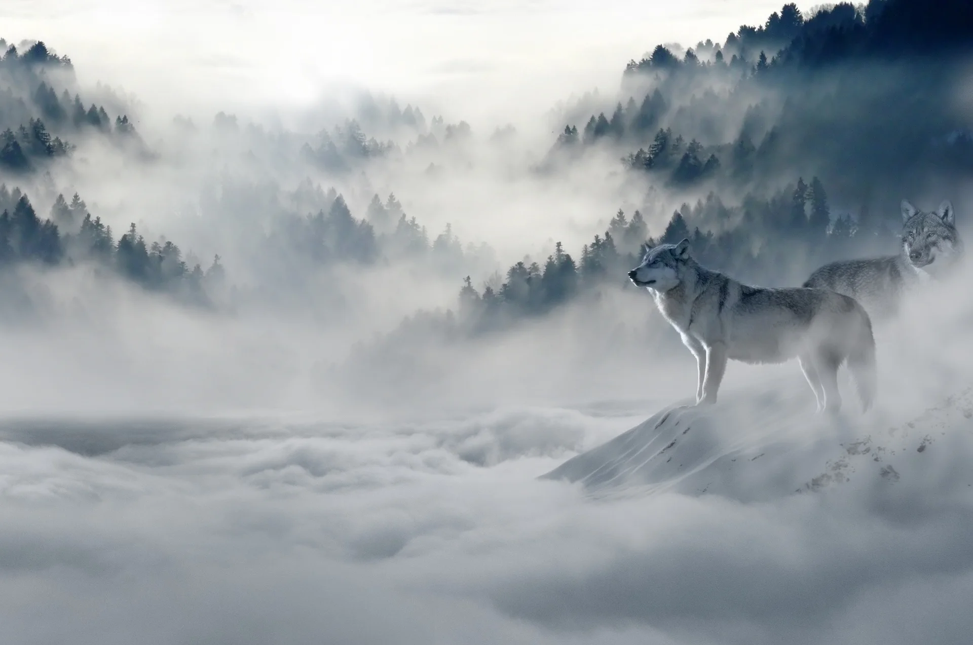 Wolf looking at mountain pattern tapestry - 150X230Cm