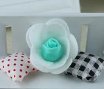 Aqua Green