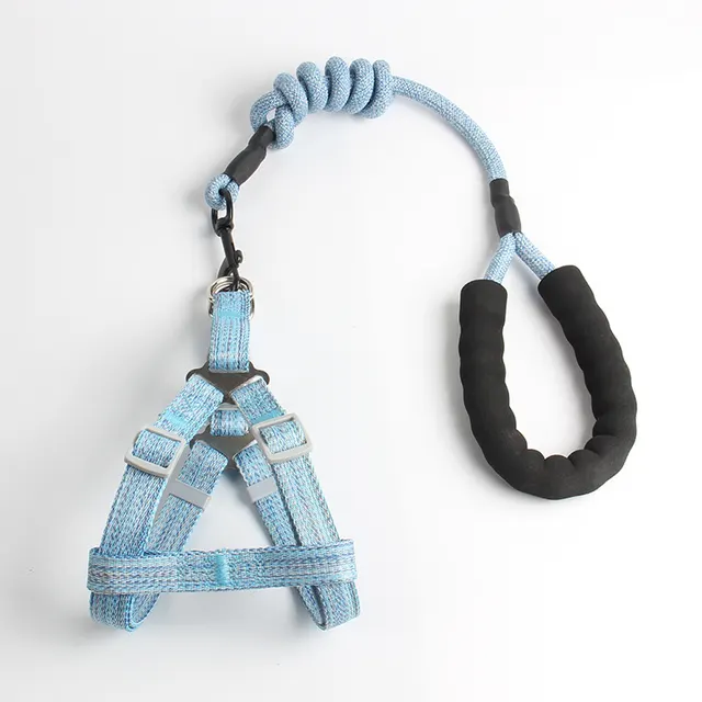 Pet Chest traction rope Blue - Shop at LoveMi