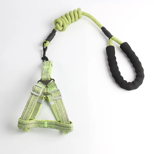 Pet Chest traction rope Green - Shop at LoveMi