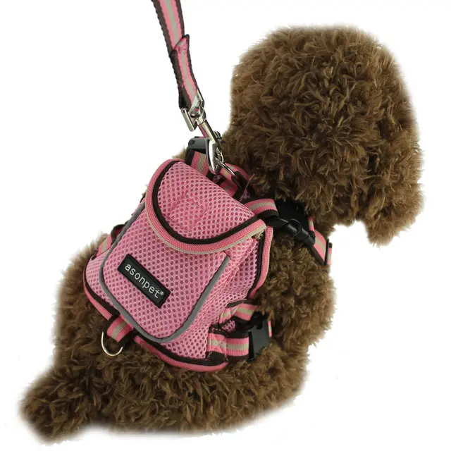 Pet traction school bag from backpack Pink - Shop at LoveMi