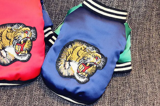 Tiger head and two legs pet clothes Blue - Shop at LoveMi