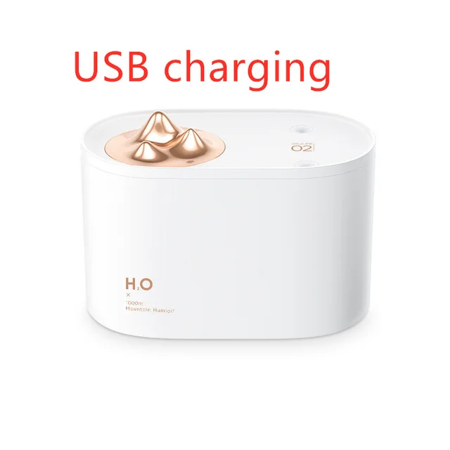 Wireless Mini USB charging sprayer Usb Charging - Shop at LoveMi