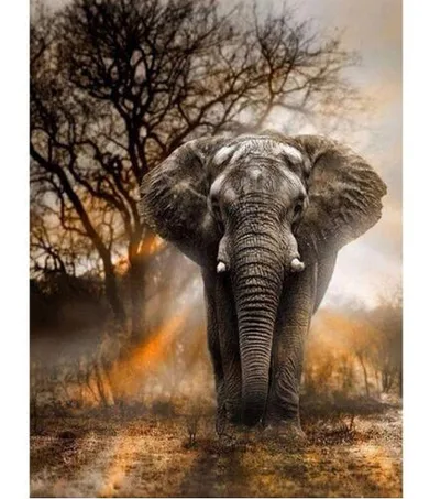 Full Square Diamond 5D DIY Diamond Painting 50X60 - Shop at LoveMi