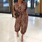 Brown Zebra