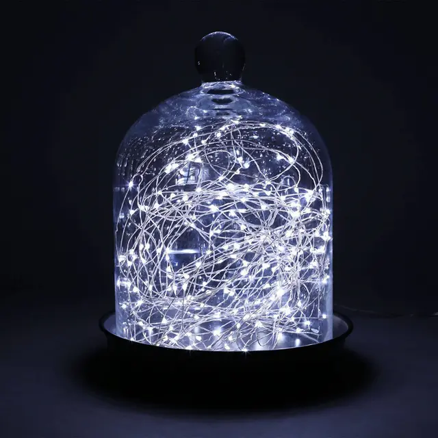 Solar Powered LED Garden Lights White - Shop at LoveMi