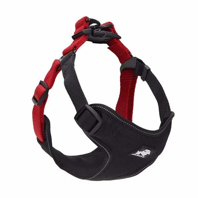 Dog leash collar walking dog leash Black Red - Shop at LoveMi