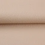 Cream Color