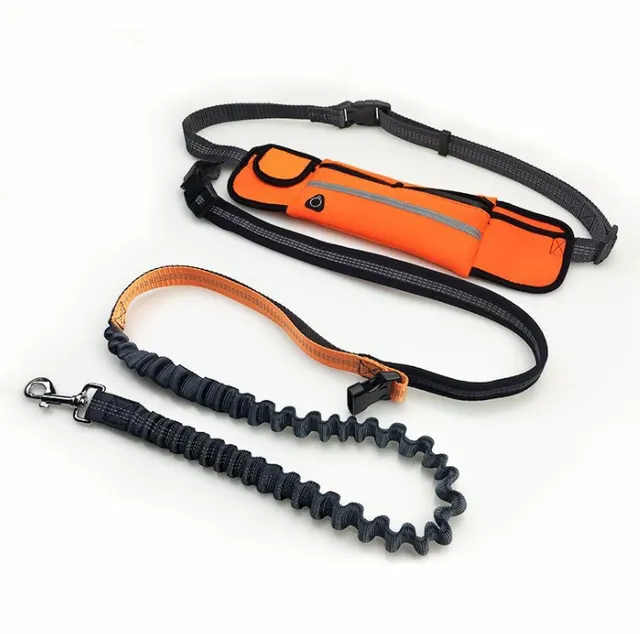 Hands Free Dog Running Leash with Waist Pocket Adjustable Belt Shock Absorbing Bungee Orange - Shop at LoveMi