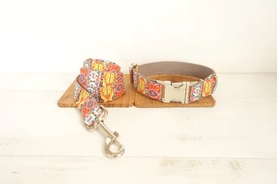 Funkadelic Matching Collar and Leash Set Dog Collar Leash Set - Shop at LoveMi