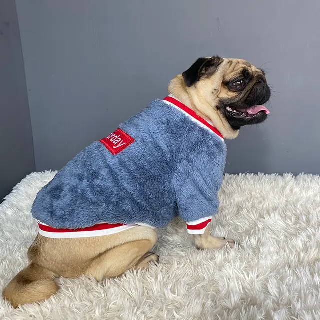 Pet sweater Blue - Shop at LoveMi