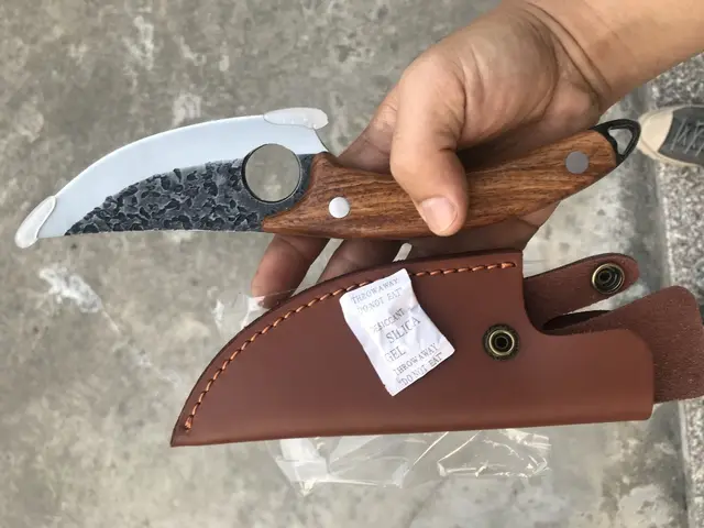 Forged small kitchen boning knife Light Brown - Shop at LoveMi