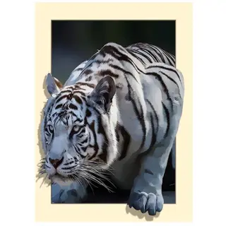 DIY Tiger 5D Full Diamond Cross Stitch - Square
